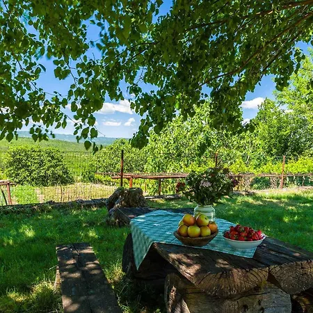 Appartement With Bbq In 8745